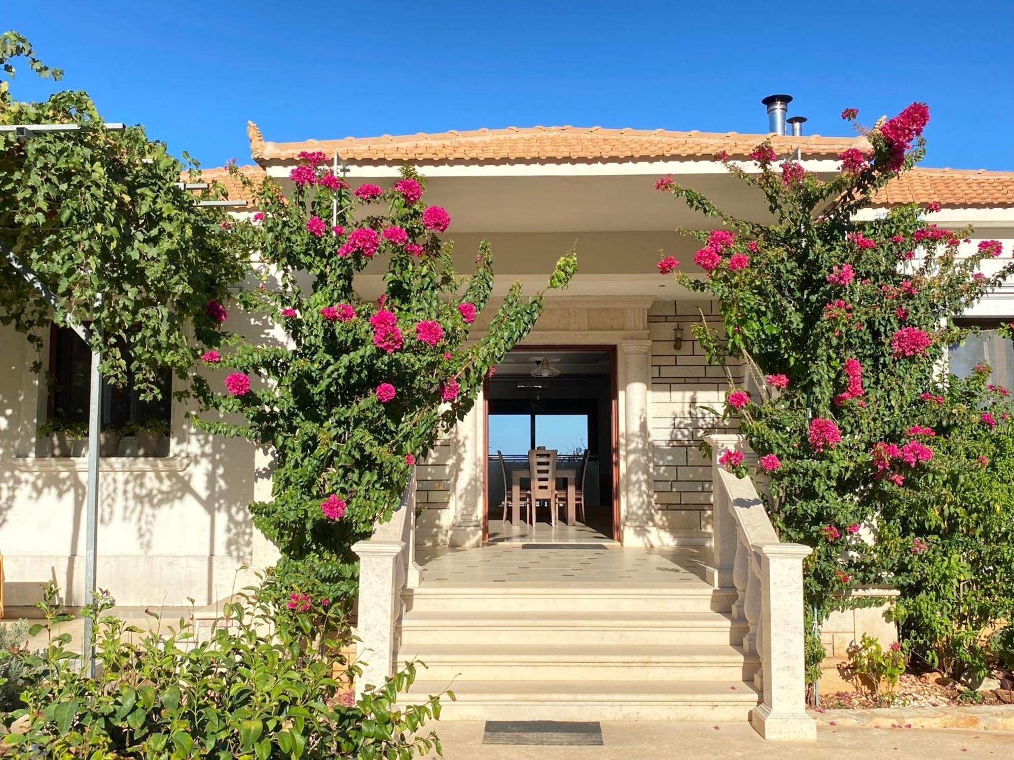 Villa Serenity Agia Marina  Exterior foto