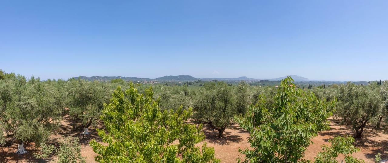 Villa Serenity Agia Marina  Exterior foto
